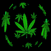 weedworld.gif